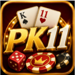 PK11 Game APK download for Android