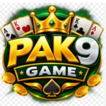 PAK9 Game APK: Download, Features, Deposit, Withdrawal & Reviewv